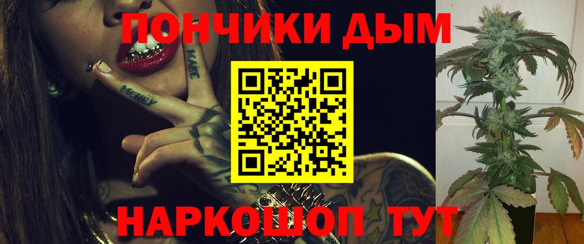 МЕФ Костомукша